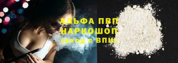 дмт Белокуриха