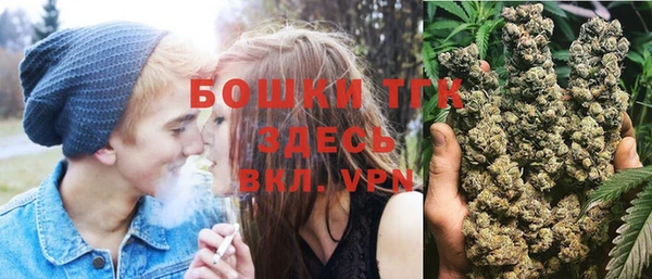 дмт Белокуриха