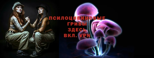 дмт Белокуриха