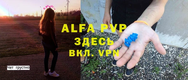 дмт Белокуриха