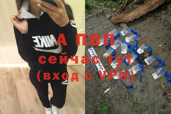 гидра Белоозёрский
