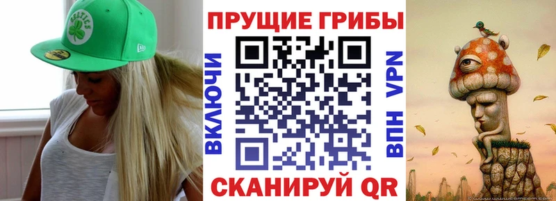 Галлюциногенные грибы Cubensis  дарк нет какой сайт  мега ссылки  Полесск  наркошоп 